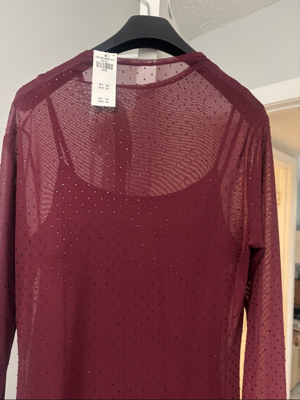 Express Burgundy Sheer Long-Sleeve Sparkle Top